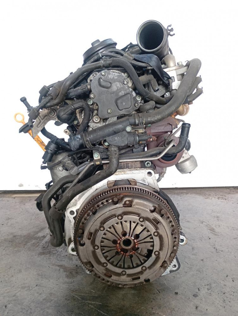 Motore Volkswagen Golf V Km 148.000 1.9 TDI Diesel – 77Kw – 105Cv  2003 – 2009