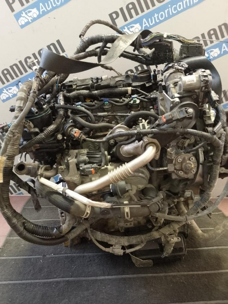 Motore Ford Transit Connect XWGA 177.000 Km