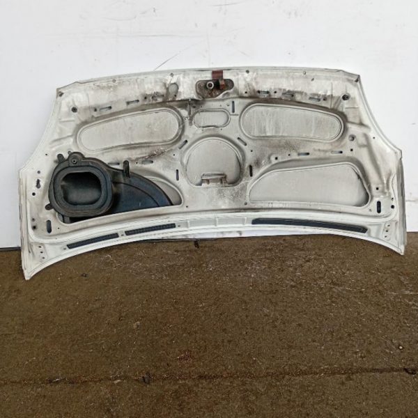 Cofano Anteriore IVECO Daily 2011 – 2014