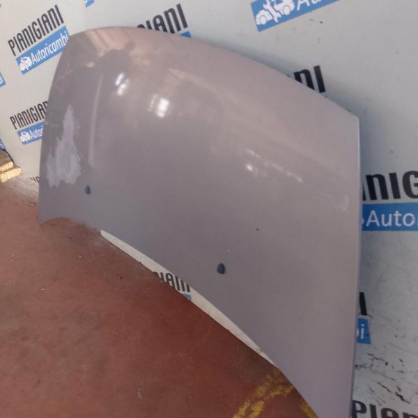 Cofano Citroen C3  2003