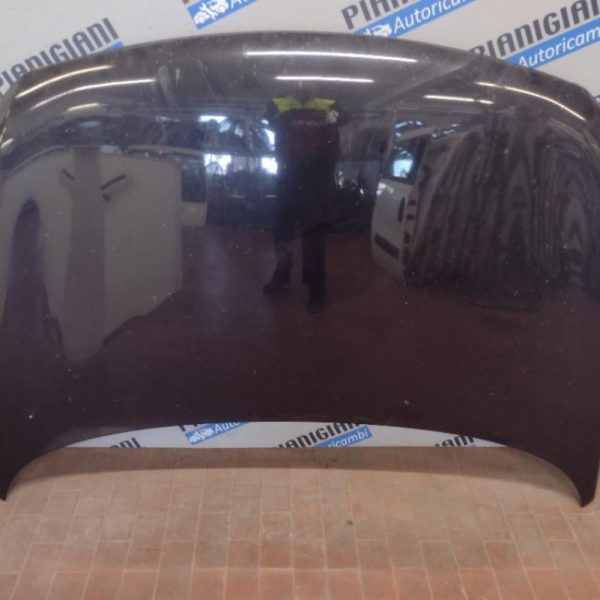 Cofano Kia Sportage 2014