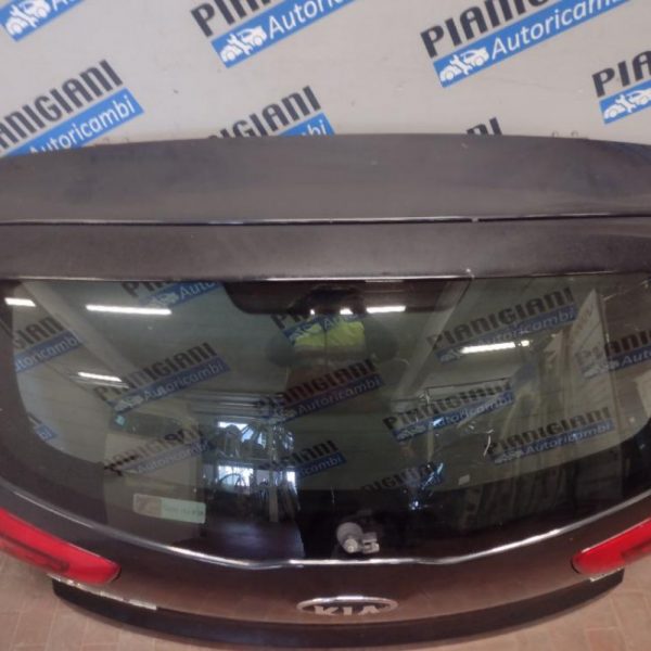 Portellone Posteriore Sinistro Kia Sportage 2014