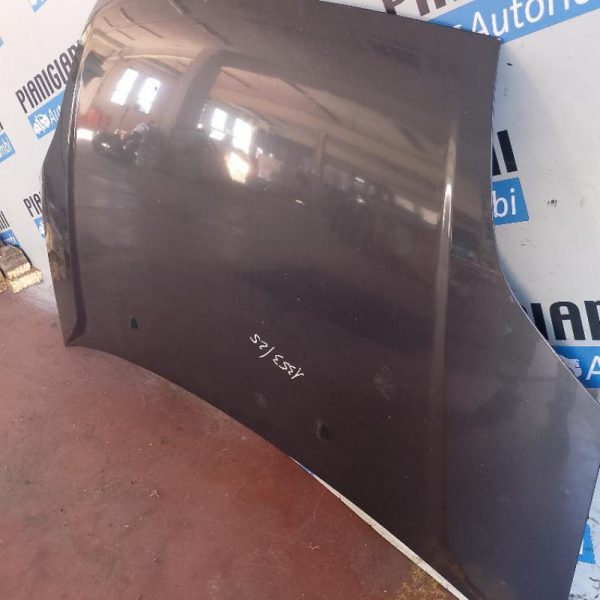 Cofano Ford Fiesta 2004