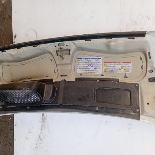 Cofano Anteriore Fiat Ducato 2006 – 2012