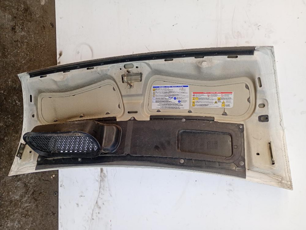 Cofano Anteriore Fiat Ducato 2006 – 2012