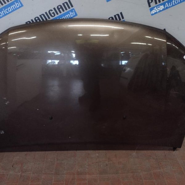 Cofano Dacia Sandero 2017 – 2020