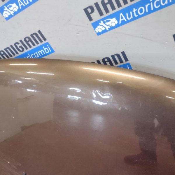 Cofano Dacia Sandero 2017 – 2020