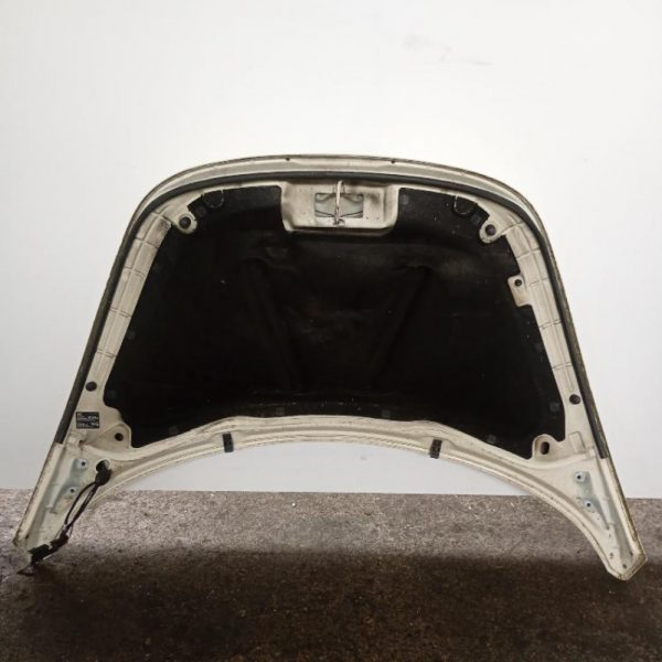 Cofano Anteriore Volkswagen New Beetle 2005 – 2010