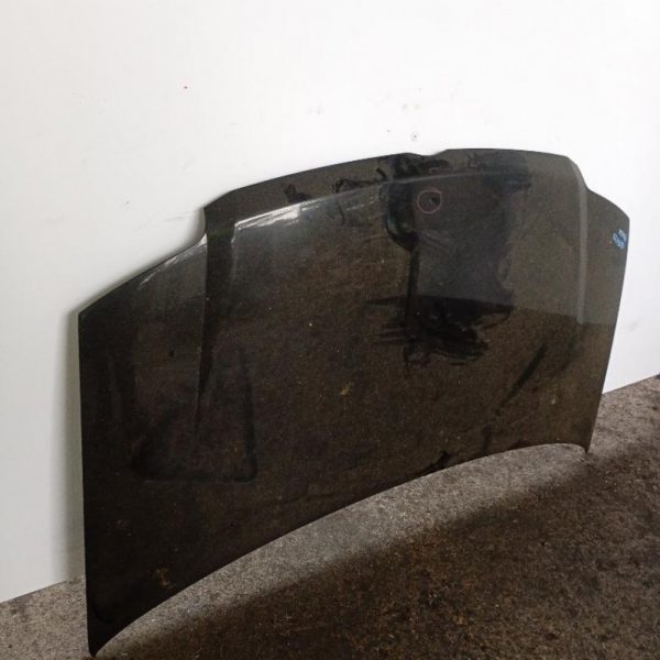 Cofano Anteriore Fiat Panda 2a Serie 2003 – 2011