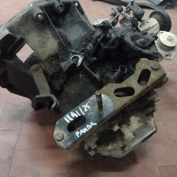 Cambio Fiat Panda Prima Serie 4×4 A CORDE