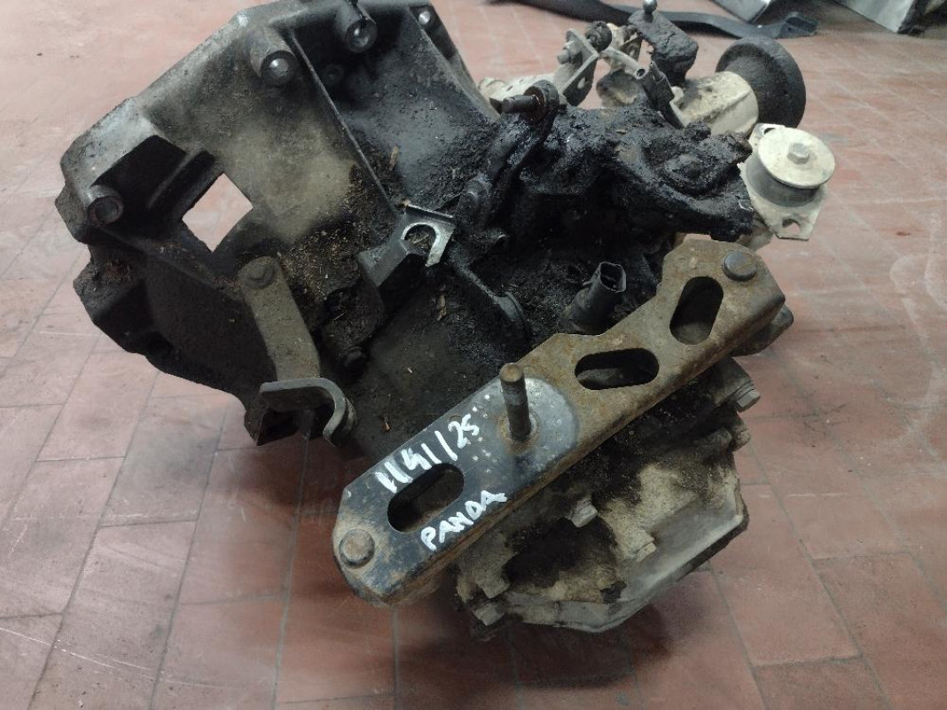 Cambio Fiat Panda Prima Serie 4×4 A CORDE