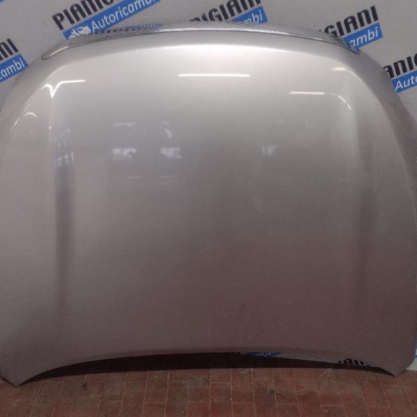 Cofano Toyota Rav 4 2011