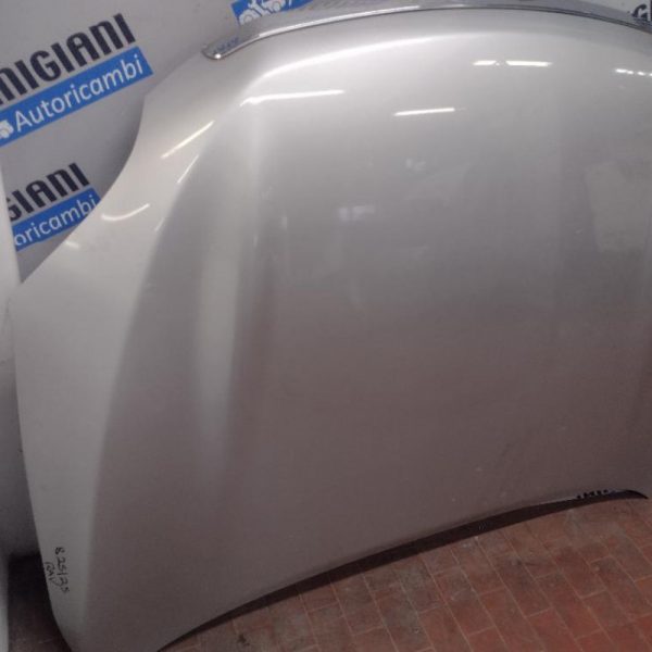 Cofano Toyota Rav 4 2011