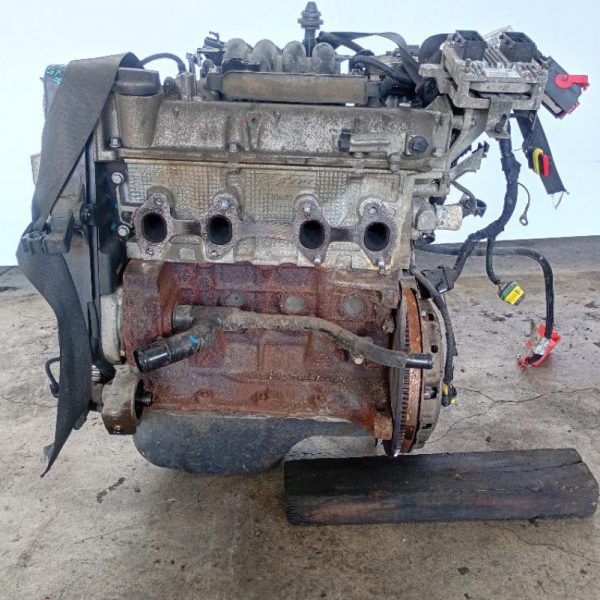 Motore Lancia Ypsilon 3a Serie (2011-2015) 1.2 51 KW 169A4000 100.000 KM