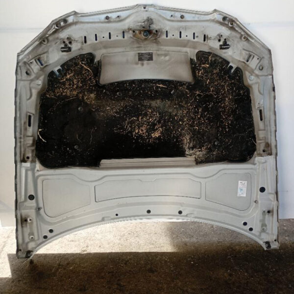 Cofano Anteriore BMW Serie 3 E92 Coupé 2010 – 2013