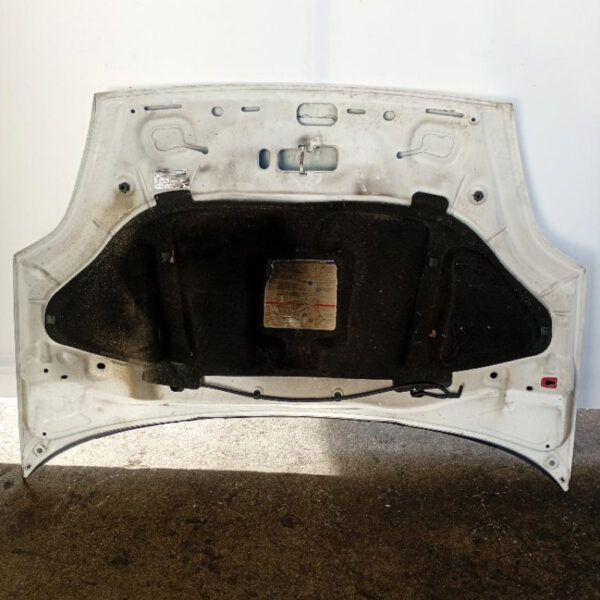Cofano Anteriore Fiat Punto 2012 – 2018