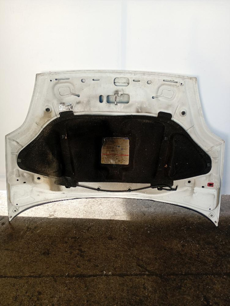 Cofano Anteriore Fiat Punto 2012 – 2018