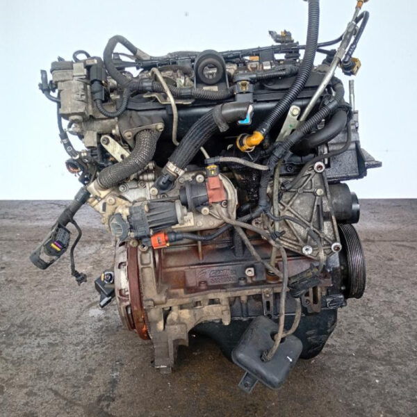 Motore Fiat Panda (2009-2011) 1.3 MJT 55 KW 169A5000 200.000 KM