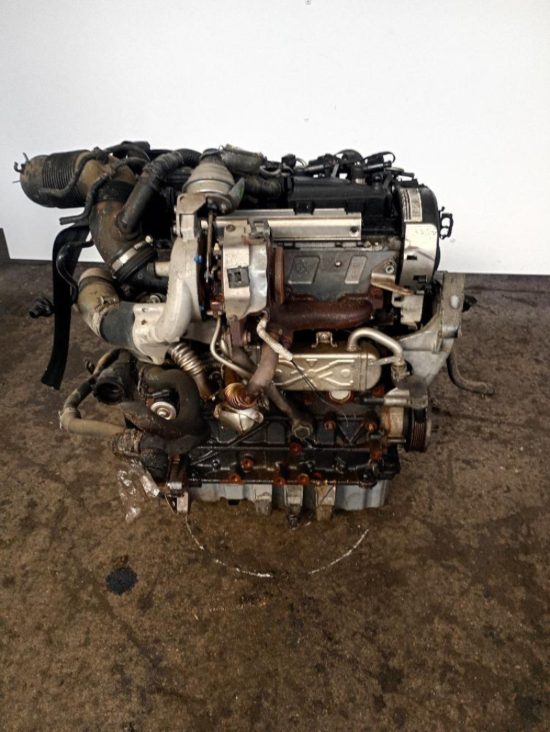 Motore Volkswagen Golf VI Km 210.000 1.6 TDI – 77Kw – 105Cv CAY 2008 – 2015