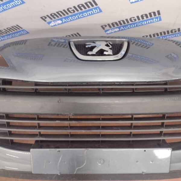 Paraurti Anteriore Peugeot 207 2010