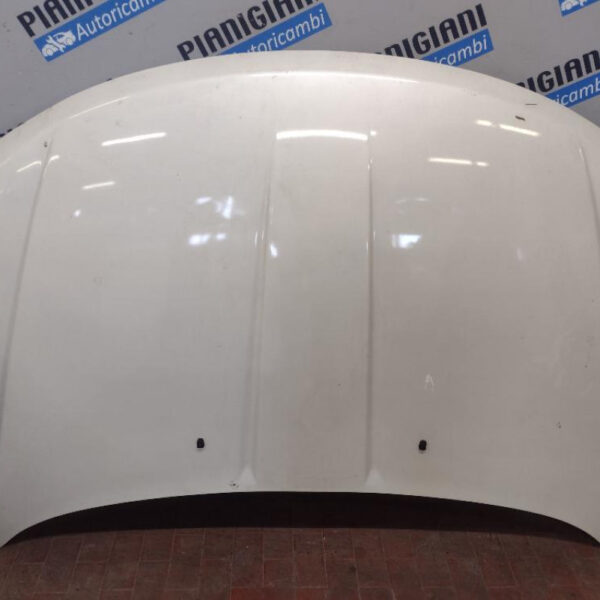 Cofano Fiat Freemont 2014