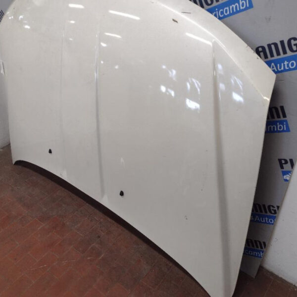 Cofano Fiat Freemont 2014