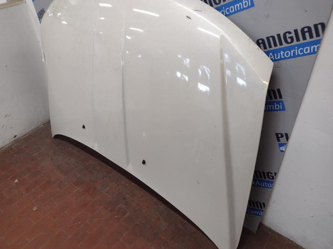 Cofano Fiat Freemont 2014