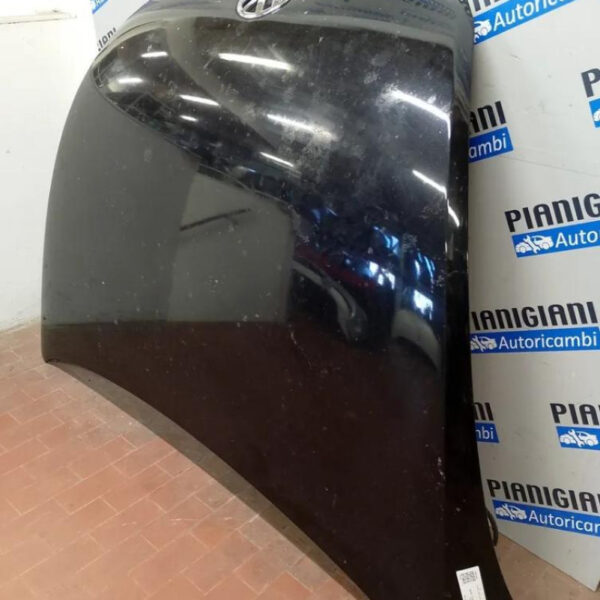 Cofano Volkswagen Maggiolino / New Beetle  2012 – 2020