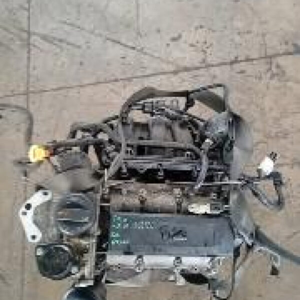 Motore Volkswagen Polo 9N (2005-2009) 1.2 12V 51 KW BZG 120.000 KM