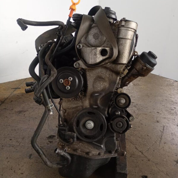 Motore Volkswagen Polo 9N (2005-2009) 1.2 12V 51 KW BZG 120.000 KM