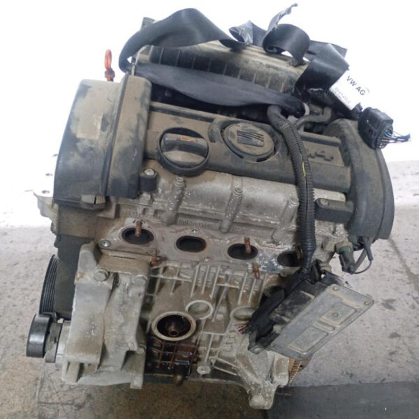 Motore Seat Ibiza (2008-2012) 1.4 63 KW BXW 180.000 KM