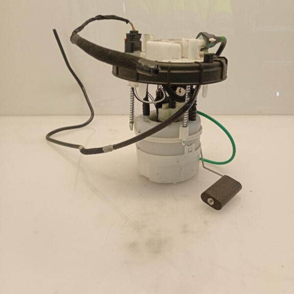 Pompa Carburante Peugeot 208 1.2 Pure Tech 55 Kw HM05 2024