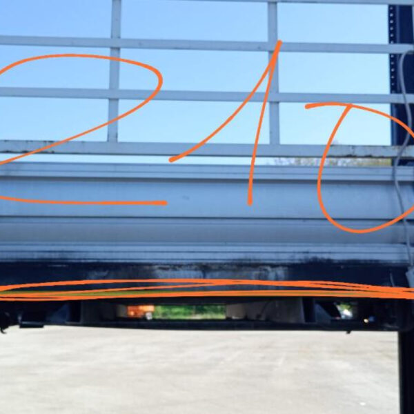 Cassone FISSO Ford Transit Cabinato (TTS) 350 Anno 2021