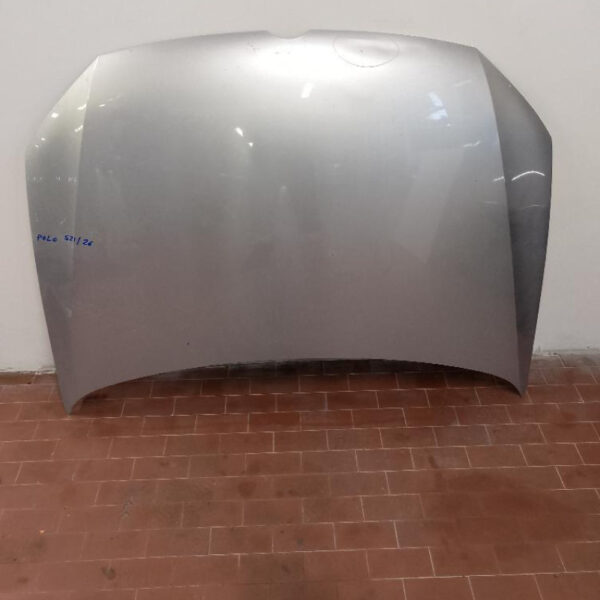 Musata Volkswagen Polo 2010