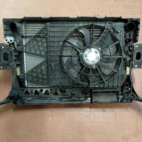 Musata Volkswagen Polo 2010