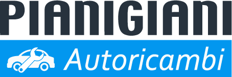 Autoricambi - Pianigiani Rottami logo